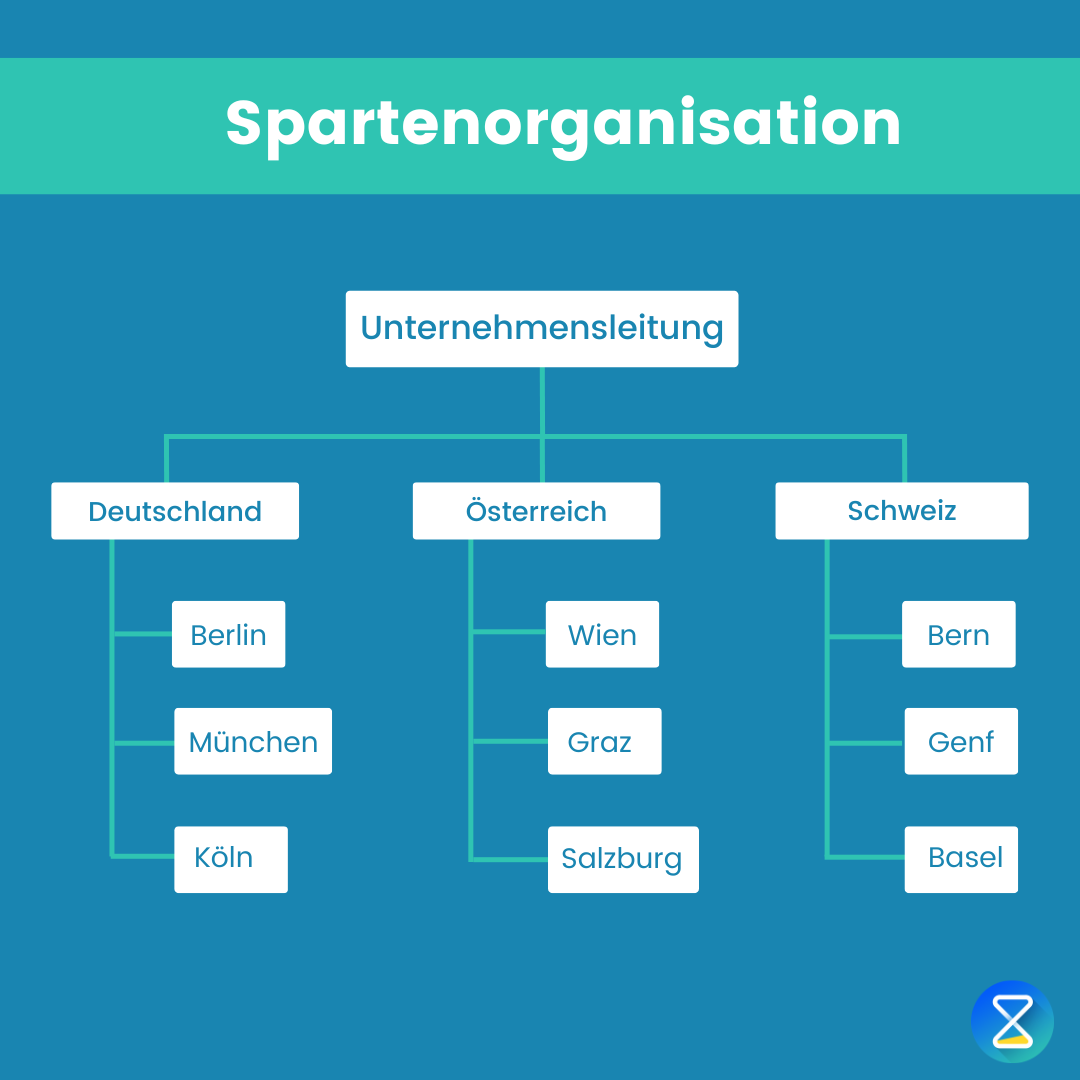 spartenorganisation-beispiel